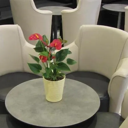 Notre Dame De France מלון