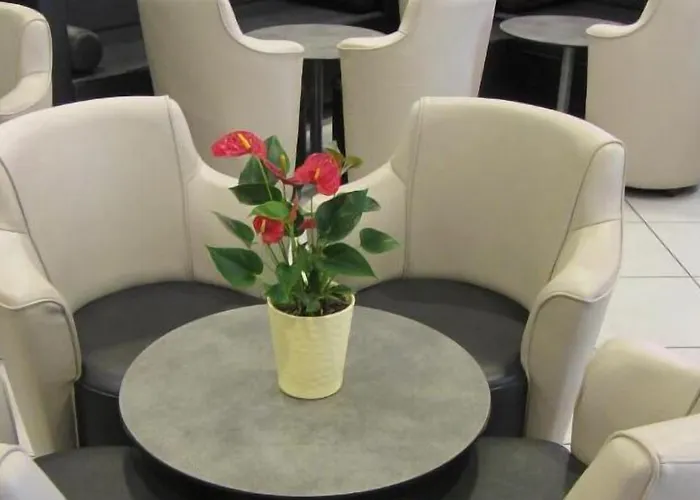 Notre Dame De France Отель